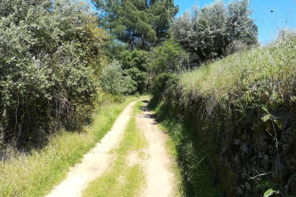 Willa Casa Da Ruiva Serra Zewnętrze zdjęcie