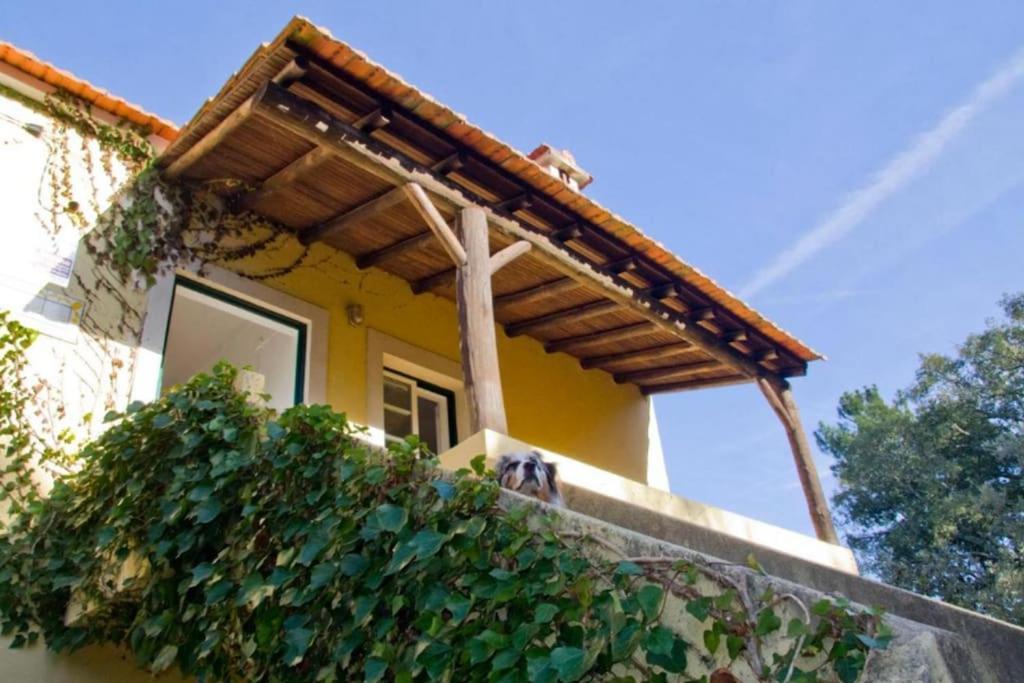 Willa Casa Da Ruiva Serra Zewnętrze zdjęcie