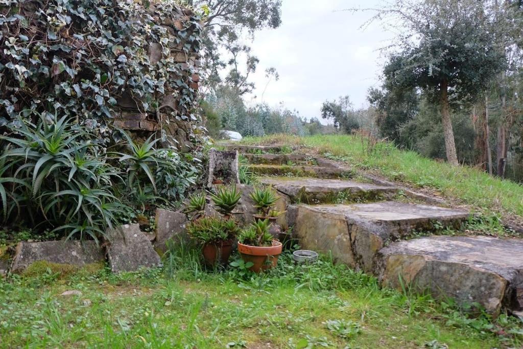 Willa Casa Da Ruiva Serra Zewnętrze zdjęcie